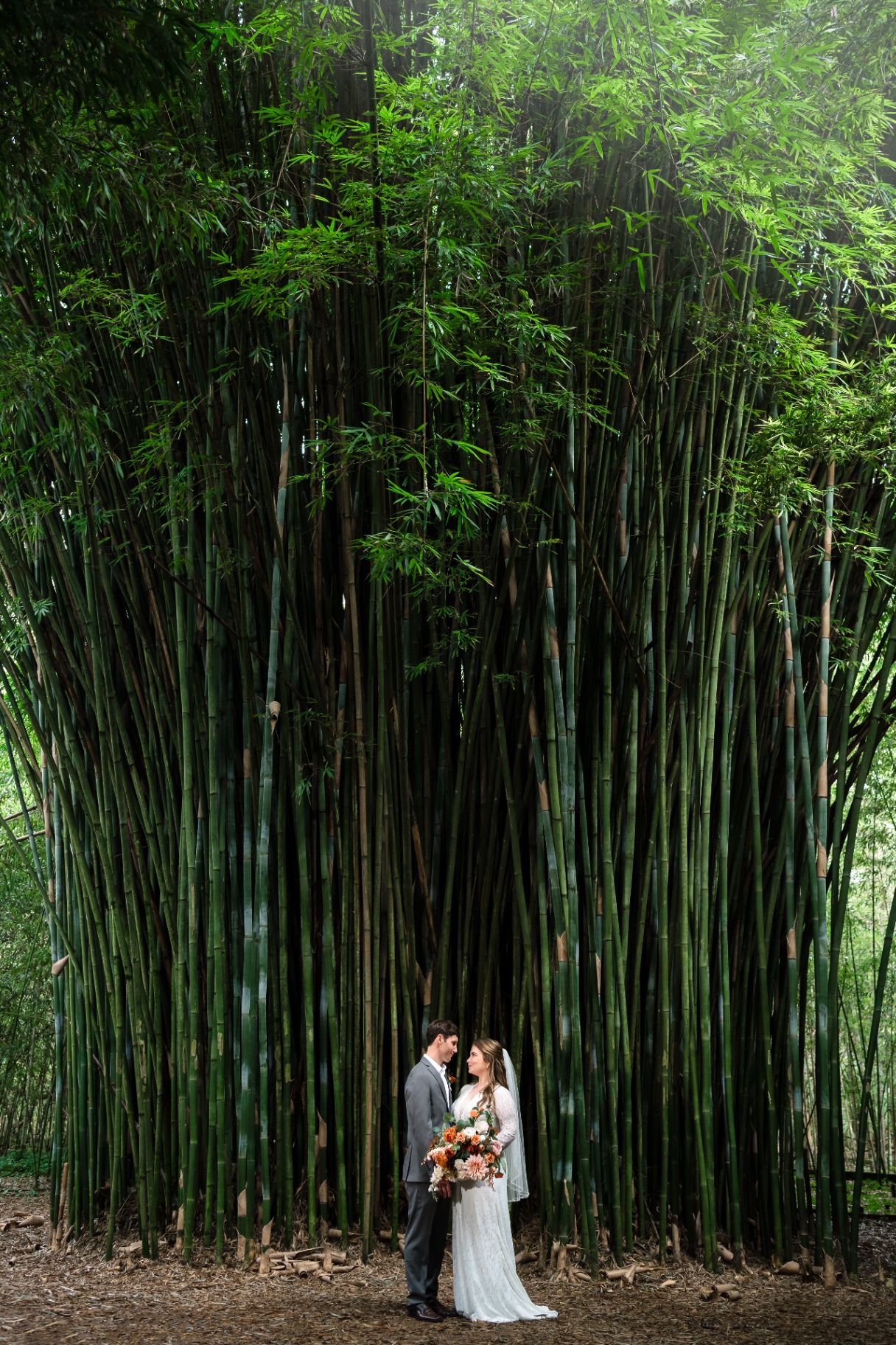 Elopement couple in bamboo forest
