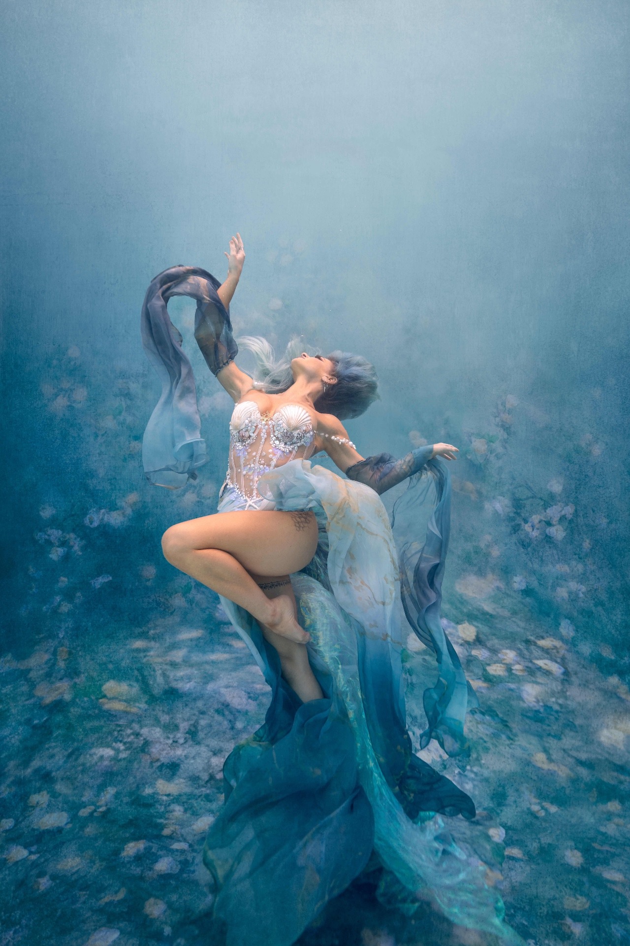 Underwater photography 6